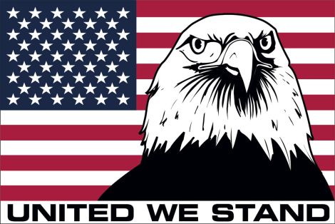 American Flag, Bald Eagle & United We Stand